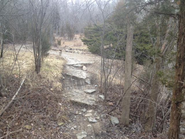 A rocky path leading through a sparse forest, surrounded by bare trees and patches of dry grass. The trail is partially obscured by natural foliage and stone, suggesting a rustic outdoor setting. MoMBA @ Huffman MetroPark mountain bike trail.