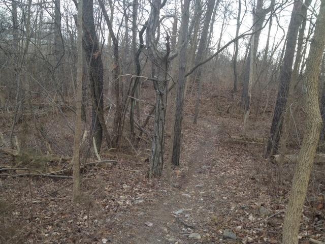 A narrow dirt path winding through a sparse, leafless forest with bare trees and scattered leaves on the ground. The scene is set in a natural environment, suggesting a tranquil hiking or walking trail. MoMBA @ Huffman MetroPark mountain bike trail.
