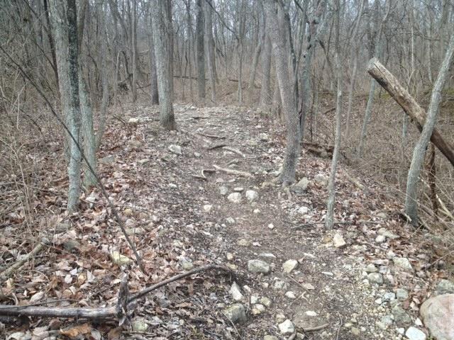 A winding, uneven hiking trail surrounded by bare trees and scattered rocks and roots, with fallen branches and dried leaves along the path. The scene shows a natural forest environment in a cooler season. MoMBA @ Huffman MetroPark mountain bike trail.