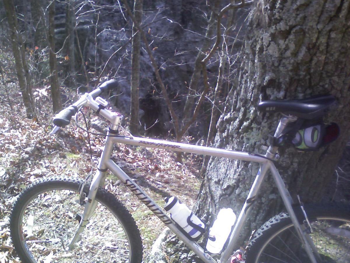Specialized Rockhopper: A mountain bike parked beside a large tree in a wooded area, surrounded by fallen leaves. The bike is silver with black components and has a water bottle mounted on the frame. In the background, a rocky terrain is partially visible through the trees.