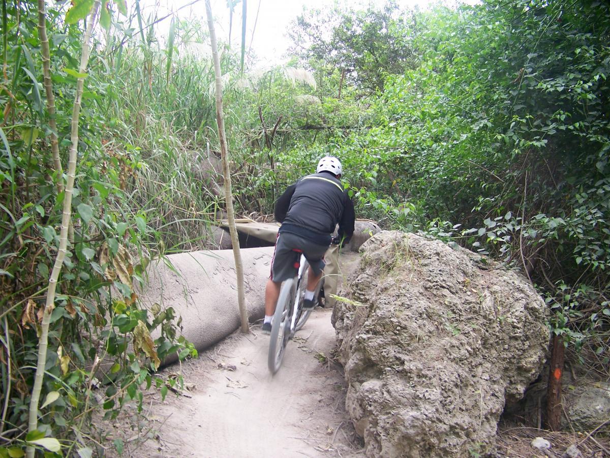 A person riding a mountain bike on a narrow dirt path surrounded by dense greenery and rocky terrain. Tall grass and natural foliage line the trail, which features a slight incline and a small log crossing. The biker is wearing a helmet and is seen from behind, navigating through the lush, outdoor setting. Virginia Key North Point mountain bike trail.