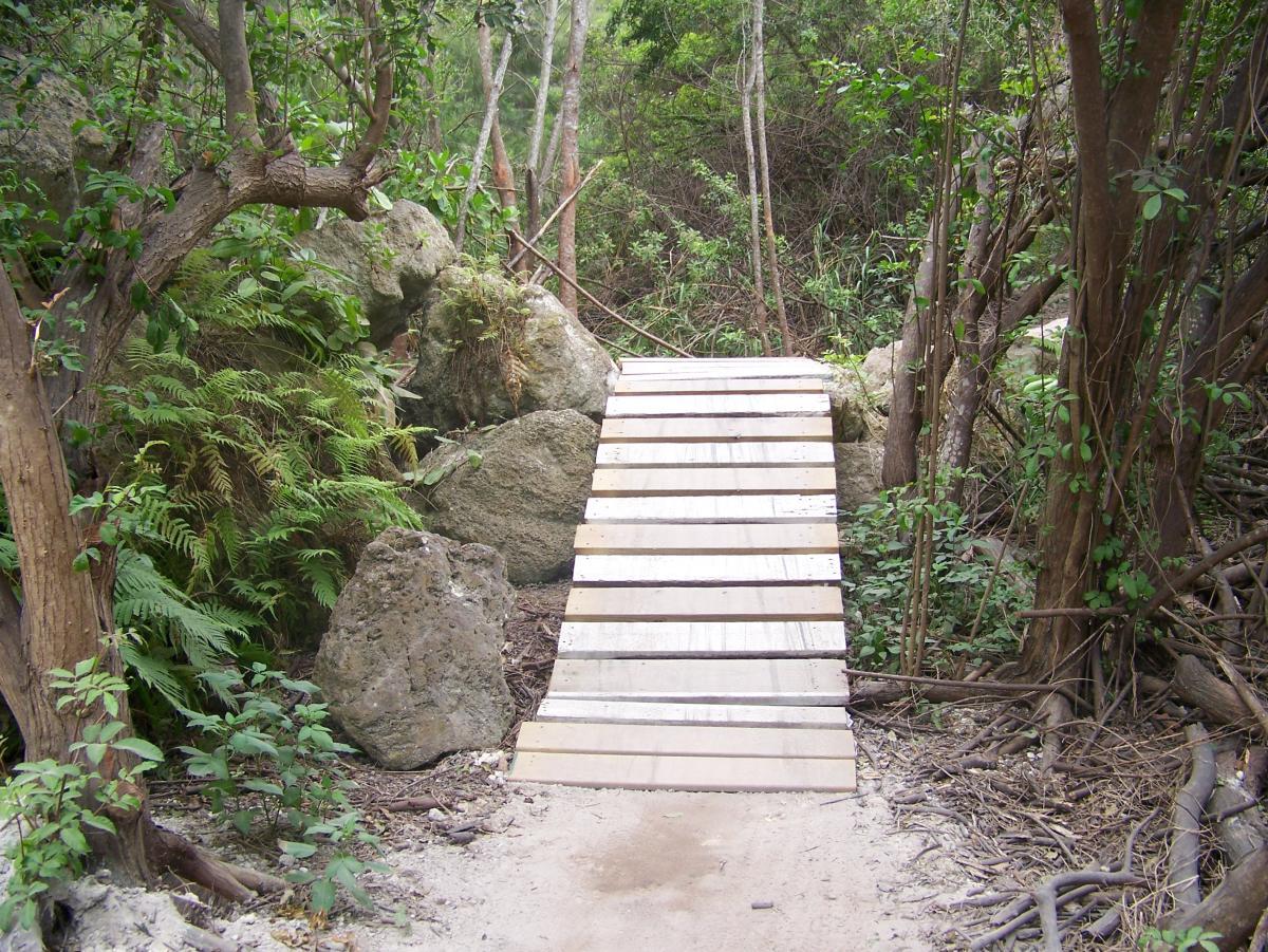 A wooden footbridge surrounded by lush greenery, leading over a rocky area in a forested environment. The bridge is slightly elevated, made of planks, and is situated among large rocks and dense vegetation, creating a natural pathway for hikers. Virginia Key North Point mountain bike trail.