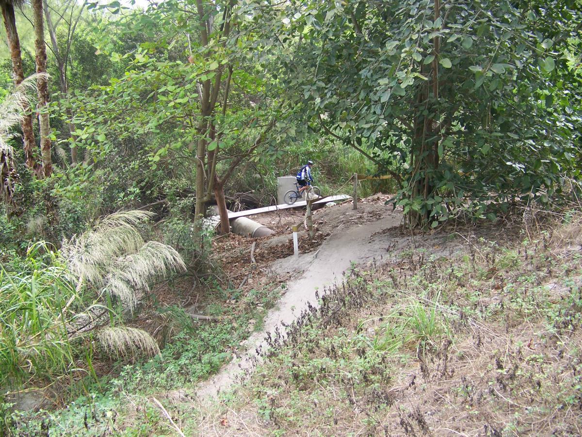 A narrow dirt path winding through a lush, green landscape, with a cyclist navigating a small bridge over a pipe. Surrounding vegetation includes tall grass and trees, creating a natural and serene environment. Virginia Key North Point mountain bike trail.
