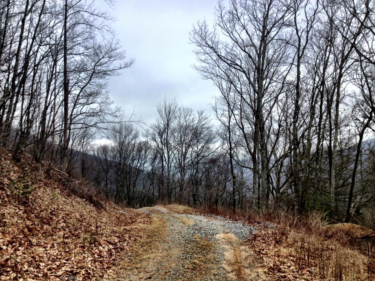 A winding gravel path through a leaf-strewn forest, surrounded by bare trees under a cloudy sky. The landscape features a hilly background, adding depth to the serene, natural scene. Rich Mountain Trail mountain bike trail.