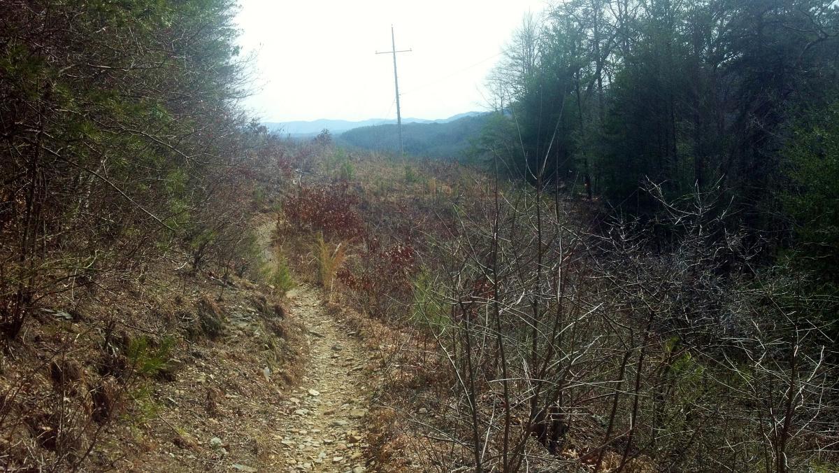 A rocky trail winding through a sparse forest, bordered by dry bushes and trees, with a power line visible in the distance and mountains shrouded in mist. Tanasi Trail System mountain bike trail.