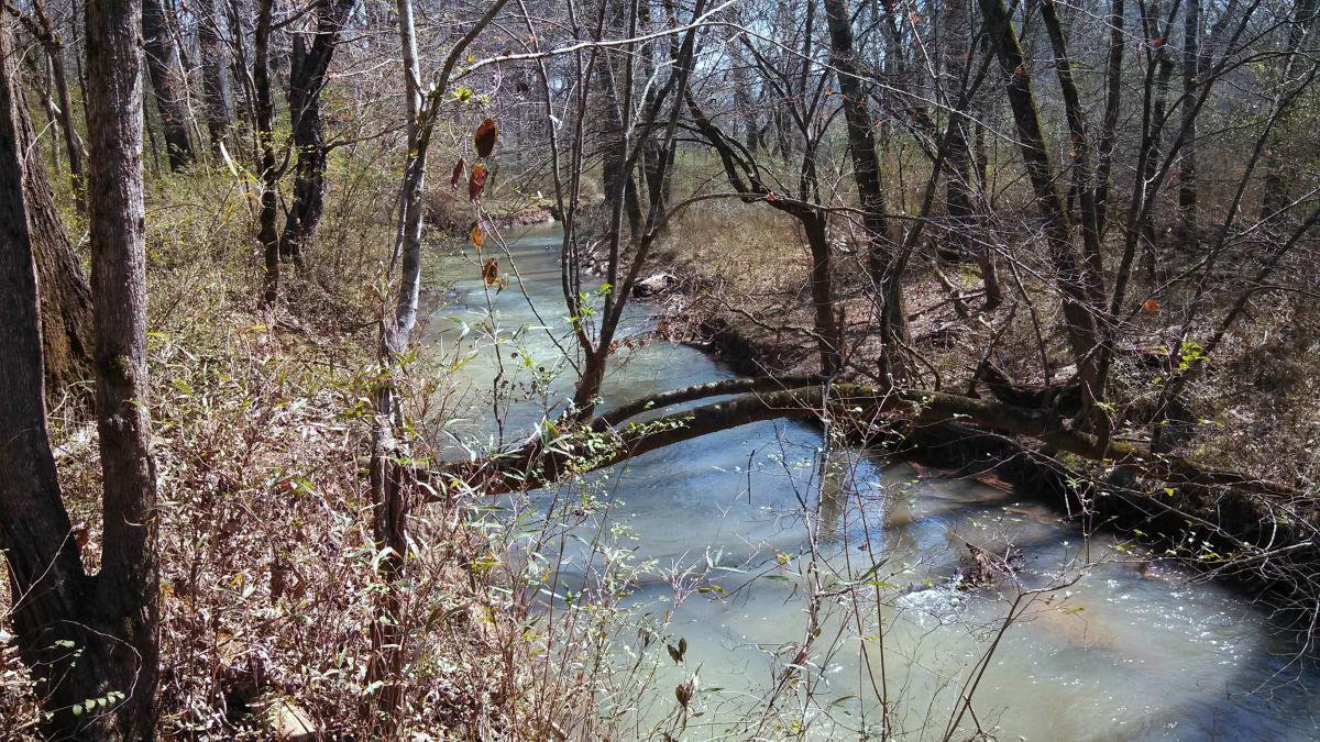 A quiet creek winding through a wooded area, with bare trees standing along the banks. Sunlight filters through the branches, reflecting on the water's surface, which appears calm and clear. A fallen tree forms a natural bridge over part of the creek, surrounded by sparse underbrush and scattered leaves. Water Tank Trail mountain bike trail.