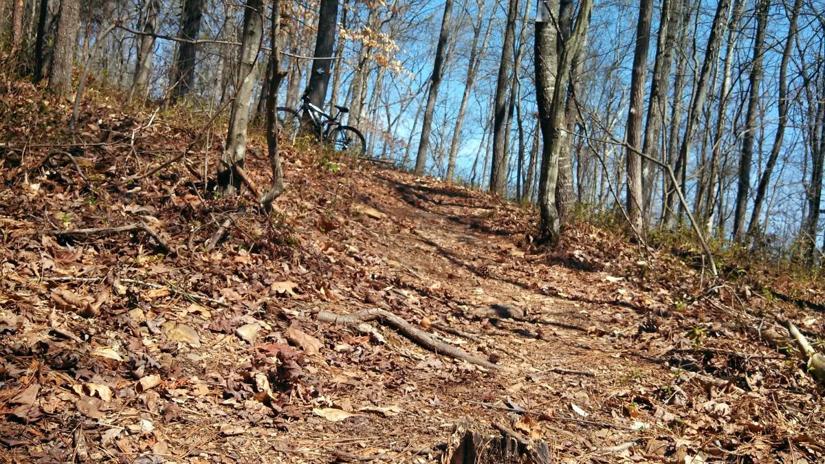 A dirt path winding through a wooded area, covered with fallen leaves and twigs, leading upwards. In the background, a bicycle is positioned beside the trail, framed by bare trees against a clear blue sky. Water Tank Trail mountain bike trail.