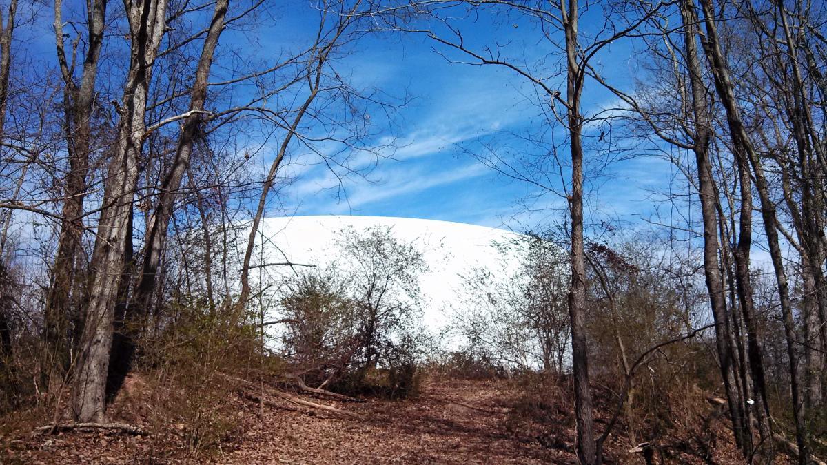 A pathway through a wooded area leads to a large, dome-shaped structure partially obscured by trees. The sky is blue with scattered clouds, and the ground is covered with fallen leaves and brush. Water Tank Trail mountain bike trail.