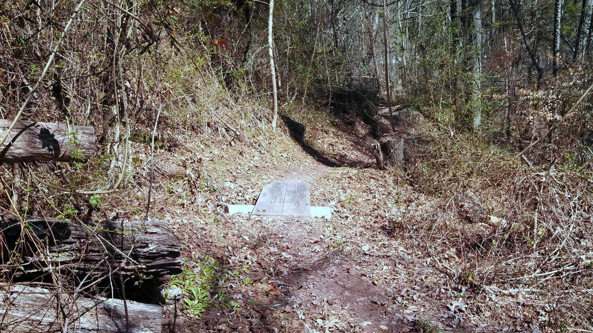 A dirt path through a wooded area, featuring a small wooden bridge crossing a low spot. Surrounding the path are fallen logs, underbrush, and scattered leaves, indicating a natural, untouched environment. Sunlight filters through the trees, illuminating the scene. Water Tank Trail mountain bike trail.