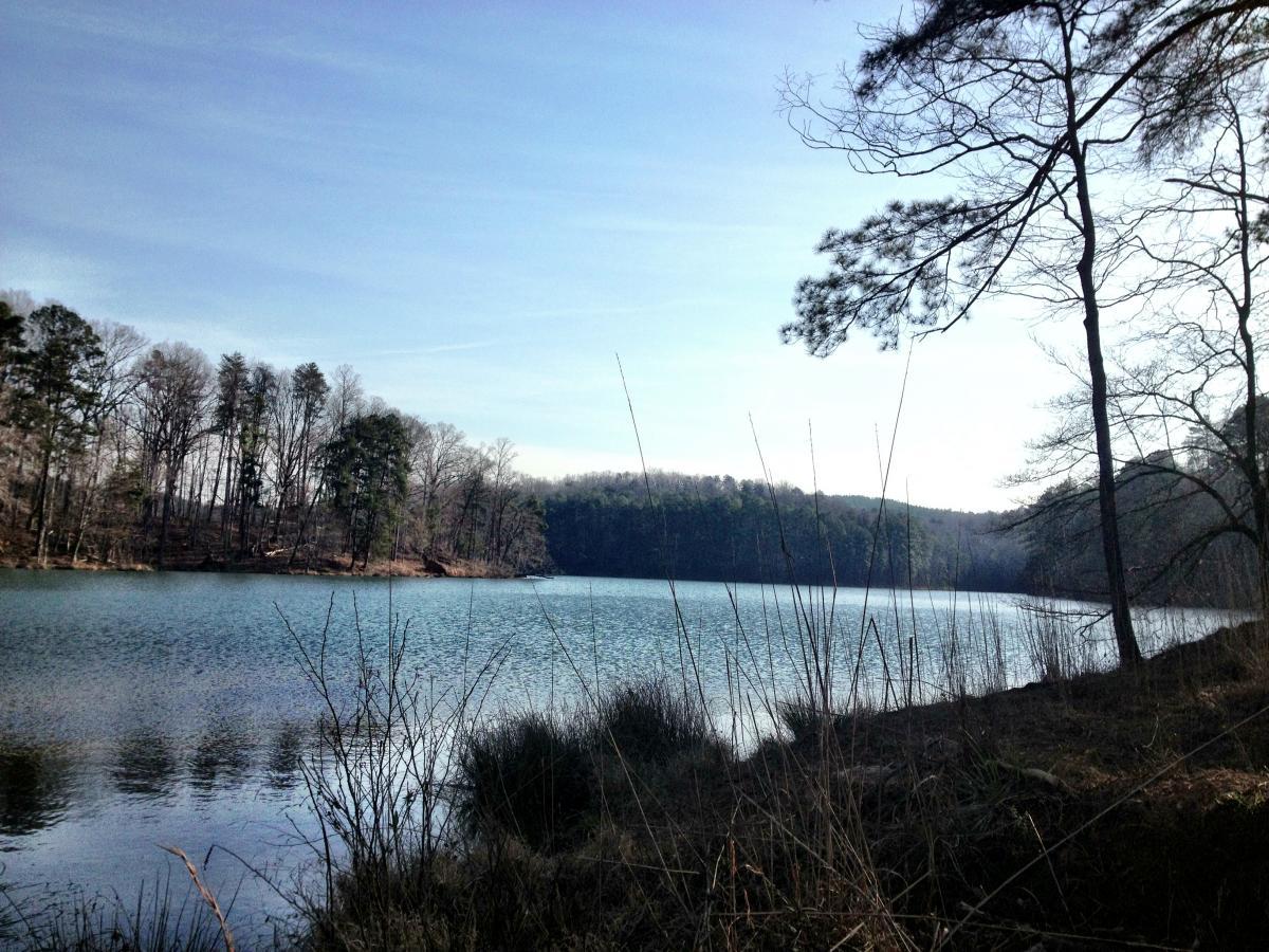 A serene lakeside view featuring calm waters reflecting the sky, surrounded by trees and sparse vegetation on a clear day. The landscape includes various tree types, some with bare branches, indicating early spring. Lake Russell Loop mountain bike trail.