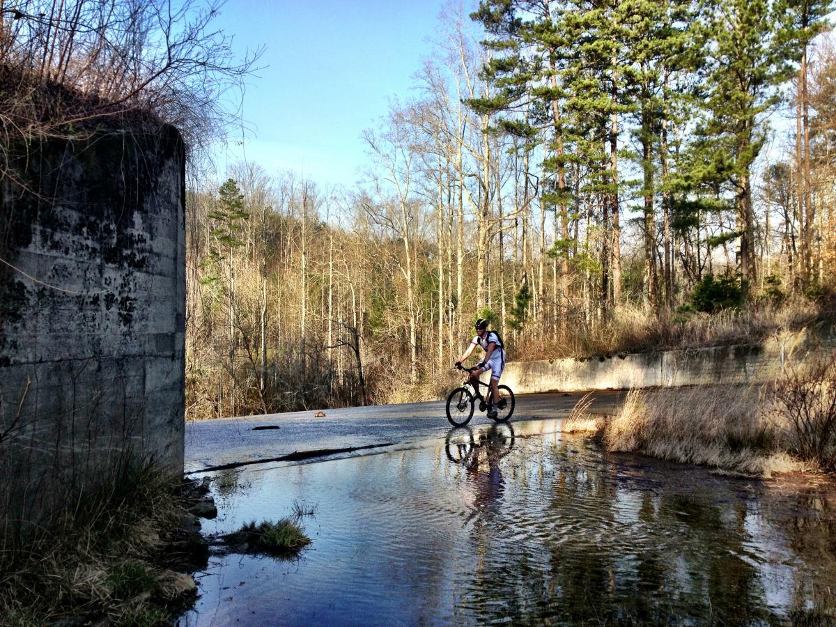 A mountain biker riding through a flooded area on a forest trail, surrounded by trees and a blue sky. The path is partly covered with water, reflecting the surrounding landscape and adding a sense of adventure to the scene. Lake Russell Loop mountain bike trail.