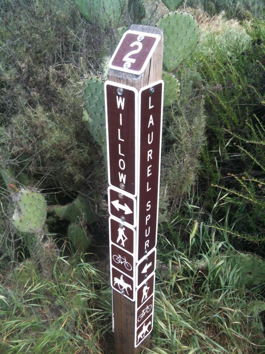 Wooden trail sign indicating "Willow Laurel Spur" with directional arrows and symbols for hiking, biking, and horseback riding, surrounded by green foliage and cactus plants. Willow Canyon Road mountain bike trail.