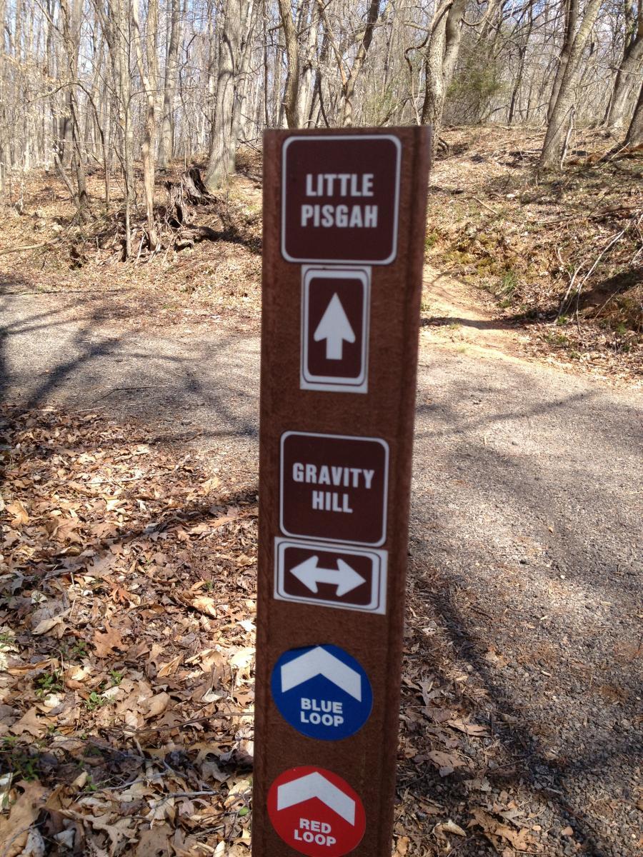 A trail sign in a forest setting indicating directions to "Little Pisgah" (upward) and "Gravity Hill" (left and right). The sign also displays markers for two loop trails: "Blue Loop" and "Red Loop," with corresponding directional arrows. The ground is covered with dry leaves, and trees are visible in the background. Angler's Ridge mountain bike trail.