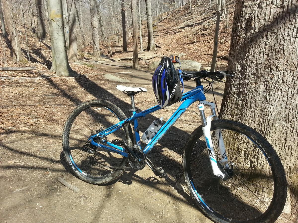 Trek Marlin: A blue mountain bike resting against a tree on a dirt trail surrounded by bare trees and fallen leaves, indicating a natural outdoor setting. A black helmet is positioned on the handlebars.