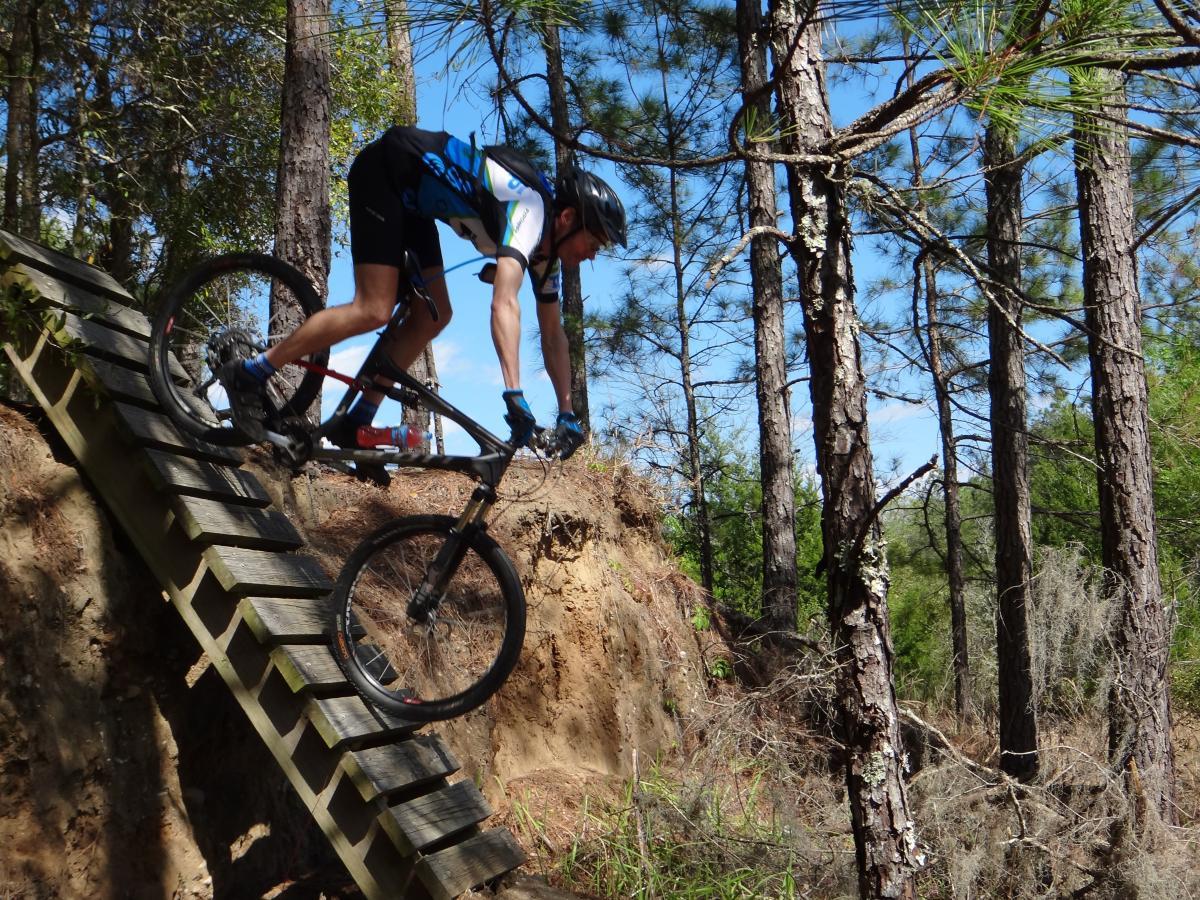 A mountain biker in a blue and white jersey navigates a wooden ramp on a trail through a forest, surrounded by tall pine trees and clear blue skies. The biker is in an aggressive riding position, focused on balancing on the ramp as he descends. Santos mountain bike trail.