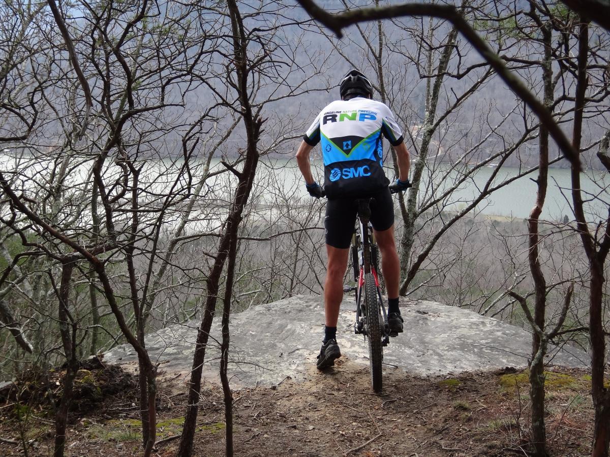 A mountain biker stands on a rocky outcrop, facing away from the camera, surrounded by bare trees. In the background, a lake is partially visible through the branches, suggesting a scenic outdoor landscape. The biker is wearing a jersey with vibrant colors and is poised as if preparing to ride down the slope. Raccoon Mountain Trail Network mountain bike trail.