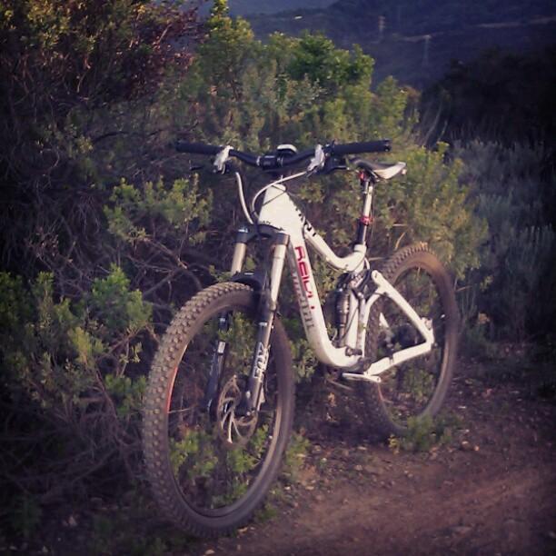 Giant Reign 2: A white mountain bike with prominent tires is leaning against a bush along a dirt trail, surrounded by greenery and a mountainous landscape in the background.