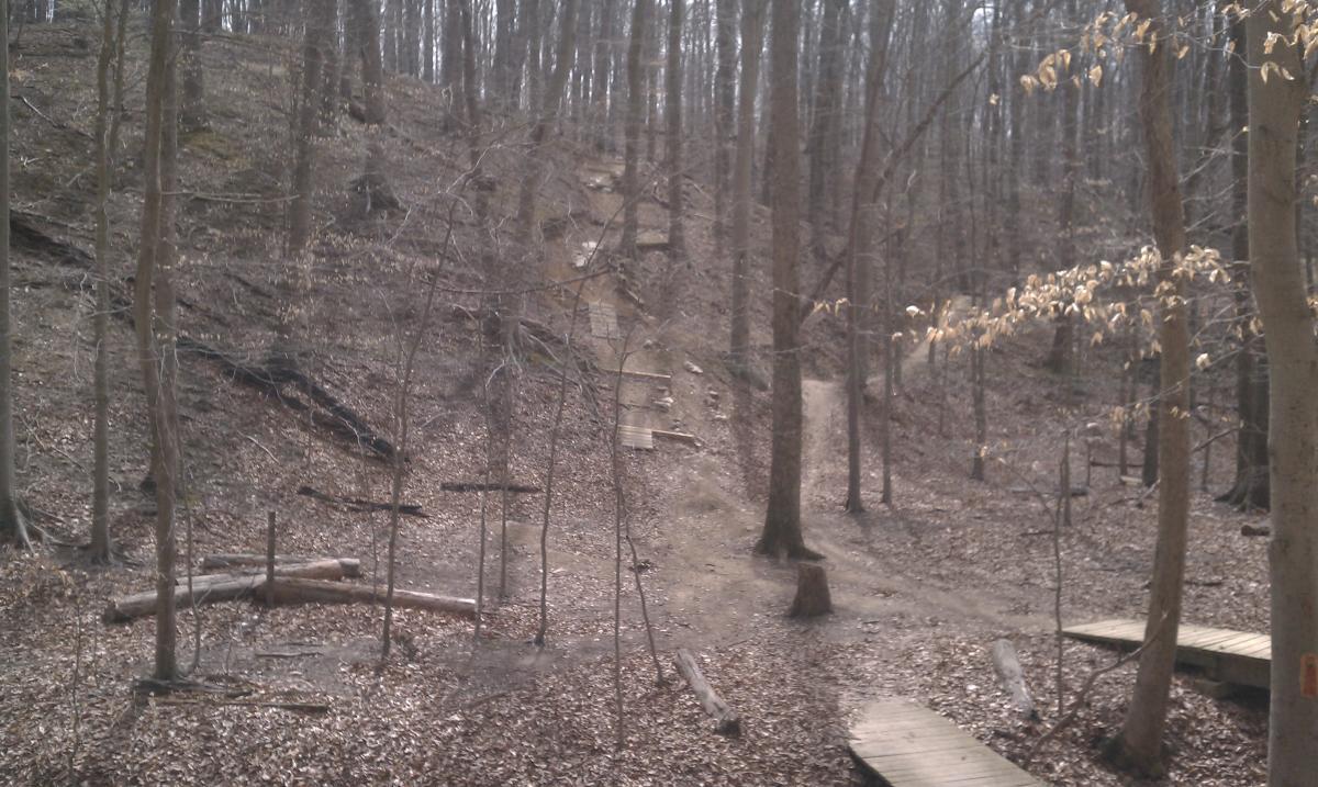 A wooded trail winding through a forest, with a mix of dirt paths and wooden boardwalks, surrounded by trees and fallen leaves. The scene conveys a quiet, natural environment, with a gradual slope leading uphill. Fountainhead Regional Park mountain bike trail.