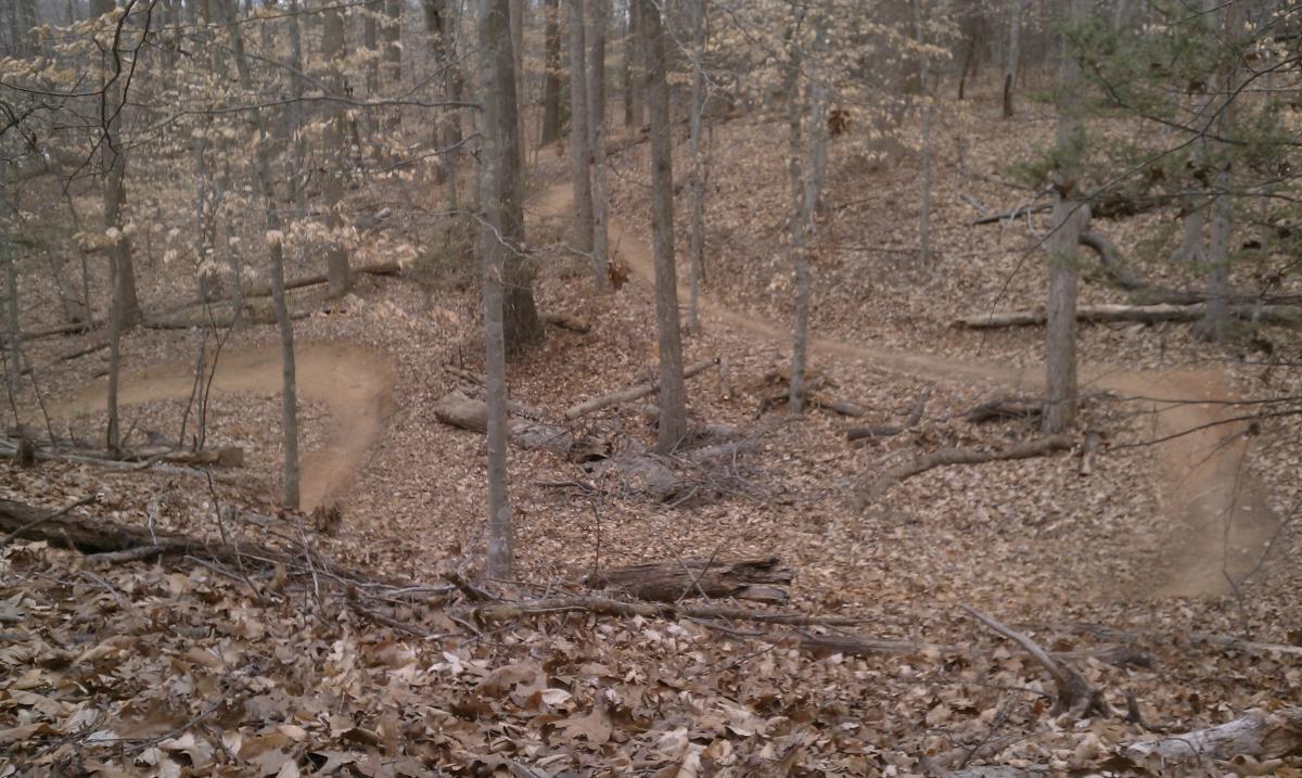 A winding dirt trail through a forested area, surrounded by trees and covered with fallen leaves. The trail splits into two paths, leading into the distance, with scattered logs and branches on the ground. The scene captures the tranquil beauty of a wooded landscape in the fall or winter season. Fountainhead Regional Park mountain bike trail.