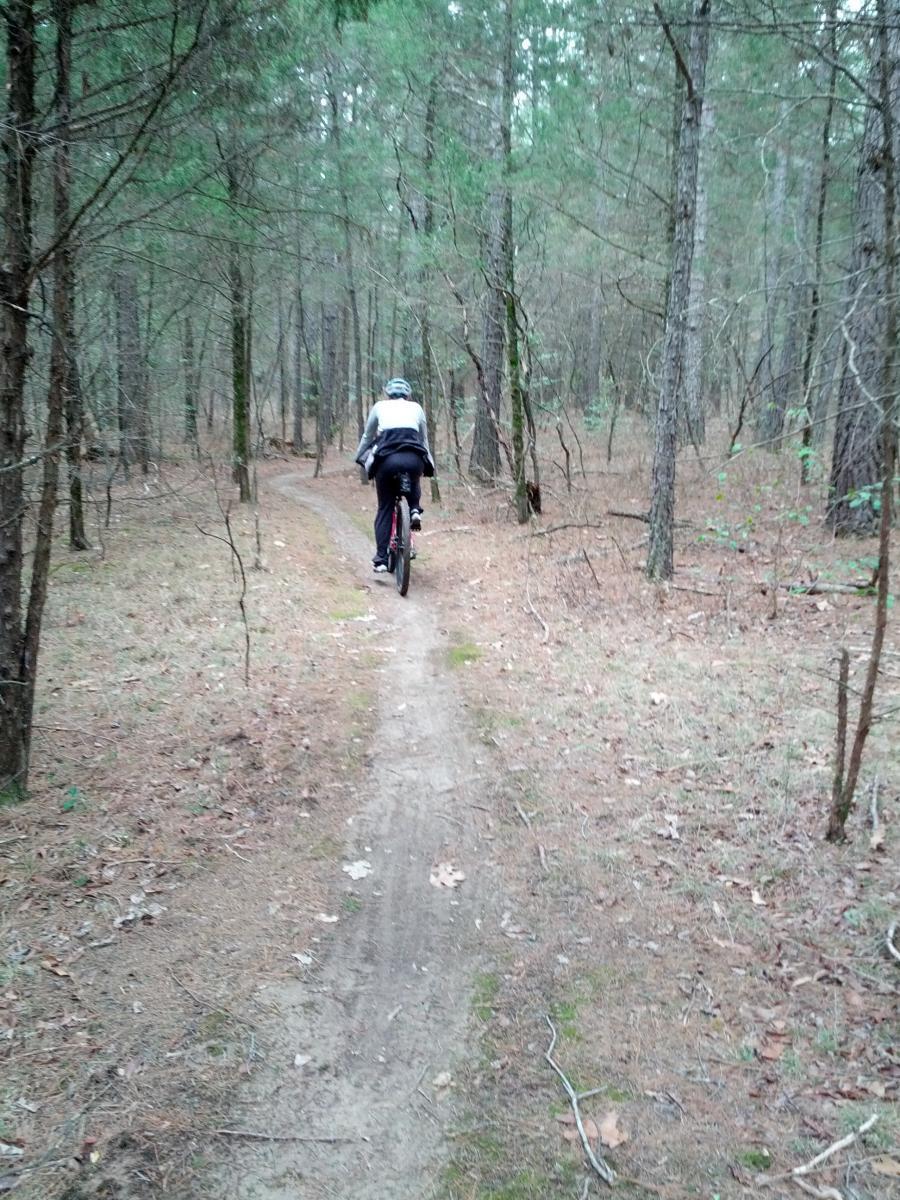 A person riding a bicycle on a narrow dirt trail through a dense forest, surrounded by tall trees and scattered leaves on the ground. Forest City Trail mountain bike trail.