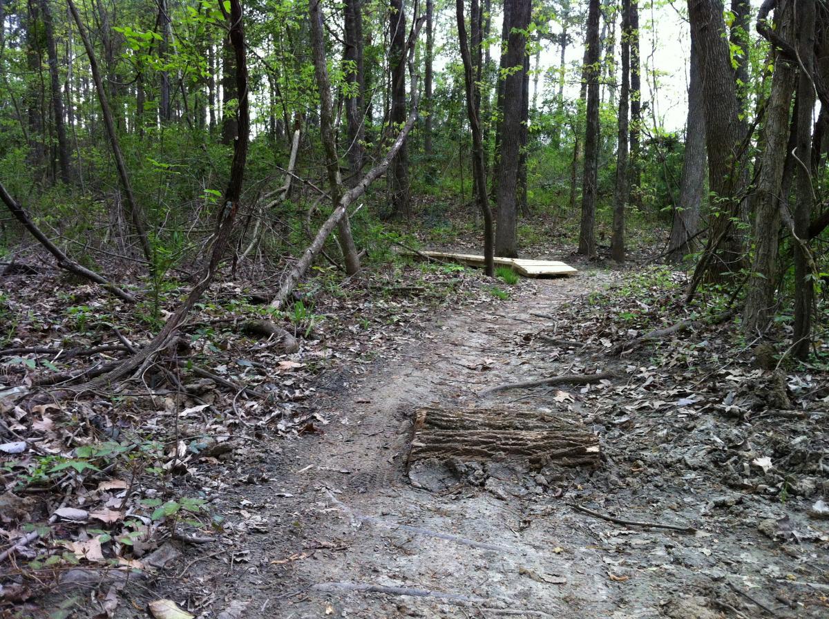 A narrow dirt path winding through a forest, surrounded by trees and underbrush. A fallen log lies across the trail, and in the background, a wooden platform can be seen partially hidden by foliage. Leaves cover the ground, indicating a natural, untamed environment. Lakeshore MTB Singletrack mountain bike trail.