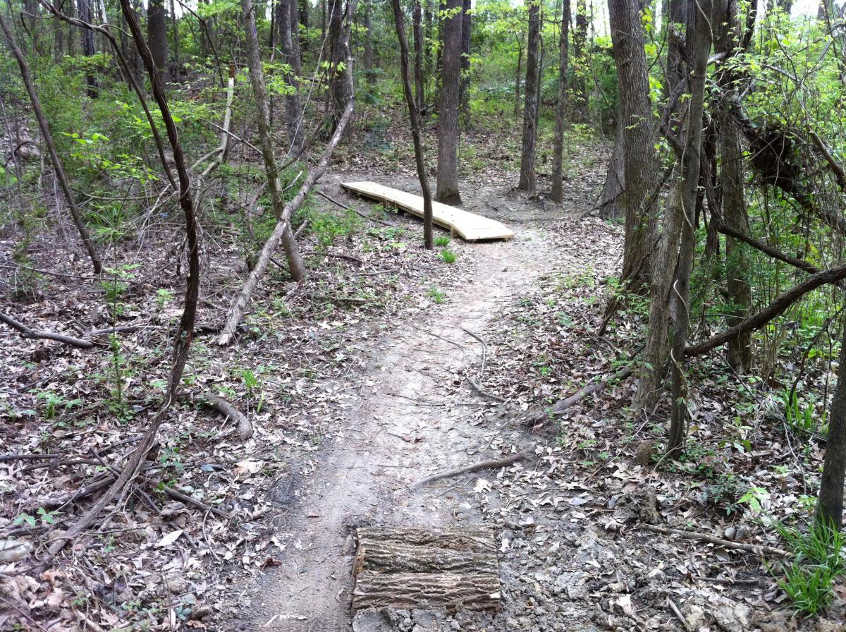 A narrow dirt trail winding through a dense forest, with scattered fallen leaves and a small log on the path. A wooden boardwalk is visible ahead, slightly elevated above the ground, leading to a darker area of the woods. Trees with green foliage surround the trail. Lakeshore MTB Singletrack mountain bike trail.