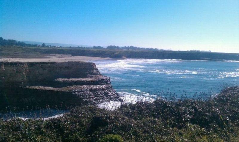 A scenic view of a coastal landscape featuring rocky cliffs overlooking a calm ocean. The shoreline is visible in the background, with gentle waves lapping at the sand. The sky is clear and blue, suggesting a sunny day, while greenery can be seen foregrounding the cliffs. Wilder Ranch State Park mountain bike trail.