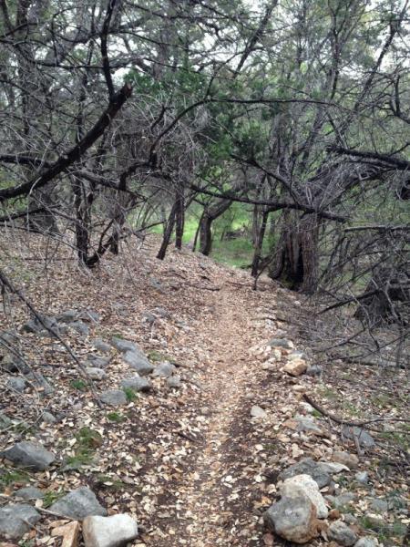 A narrow dirt trail winding through a forested area, surrounded by leaf-covered ground and rocky patches. The trail is framed by sparse, bare trees with some greenery visible in the background, creating a natural, serene atmosphere. Salado Creek mountain bike trail.