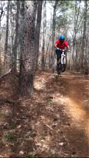 A person wearing a blue helmet and a red shirt is jumping a mountain bike off a dirt trail in a wooded area. Trees and leaves surround the path, showcasing a natural outdoor biking environment. Yellow River mountain bike trail.