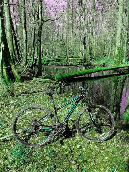 A mountain bike stands resting on the ground near a still, reflective pond surrounded by trees. The scene is characterized by vibrant colors, including green foliage and a surreal purple sky, creating a dreamy, otherworldly atmosphere in a forested area. Island Creek Trail mountain bike trail.