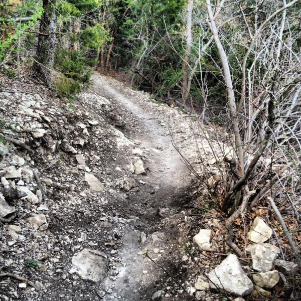 A narrow, rocky hiking trail winding through a wooded area, surrounded by trees and shrubs. The path is uneven and covered with small rocks and dirt, leading deeper into the forest. Big Cedar Wilderness Trails mountain bike trail.
