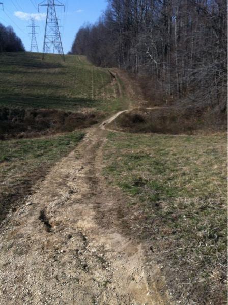 A dirt path winding through a grassy field, leading towards a tree line and power lines in the background. The scene is under a clear blue sky, suggesting a sunny day. Rosaryville State Park mountain bike trail.