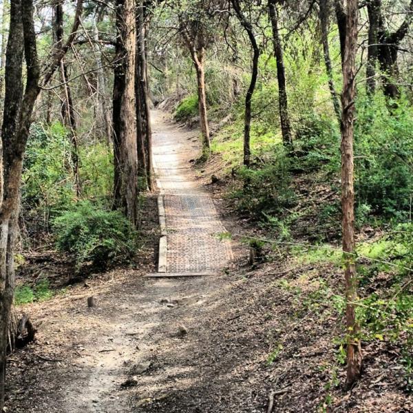 A winding forest trail surrounded by green foliage and tall trees, featuring a wooden pathway that leads through the natural landscape. Big Cedar Wilderness Trails mountain bike trail.