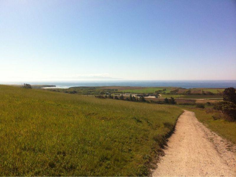 A scenic view of a path leading through a grassy landscape towards the ocean, with rolling hills and a clear blue sky in the background. Wilder Ranch State Park mountain bike trail.
