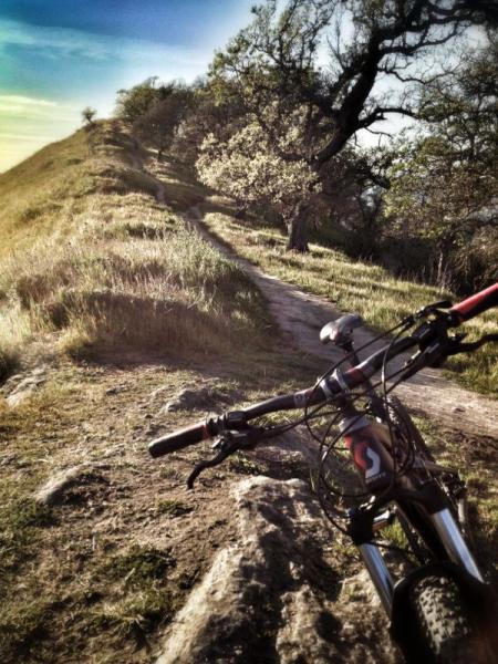 Mountain bike leaning on rocks near a winding dirt trail surrounded by grassy hills and trees under a clear sky. Shell Ridge Open Space mountain bike trail.