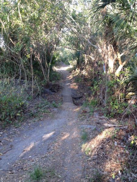 A narrow dirt path winding through dense greenery, flanked by bushes and trees, leading into a shaded area. The trail is slightly uneven, with a small wooden bridge crossing a low area, inviting exploration of the natural surroundings. Grapefruit Trail mountain bike trail.