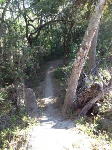 A narrow dirt path winding through a lush forest, surrounded by tall trees and greenery. The sunlight filters through the leaves, creating dappled light on the trail, which gently slopes downward. Grapefruit Trail mountain bike trail.