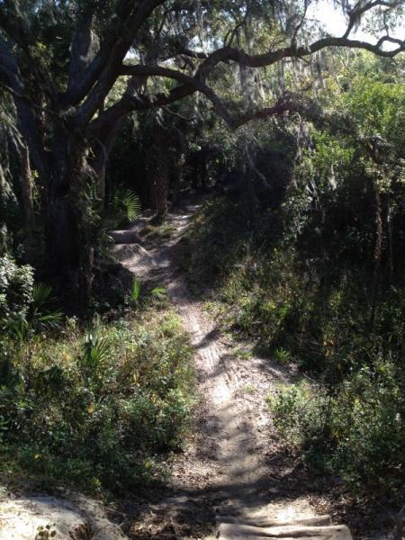 A winding dirt path through a lush green forest, bordered by trees draped in Spanish moss, with sunlight filtering through the leaves. The scene conveys a tranquil, natural setting, inviting exploration. Grapefruit Trail mountain bike trail.