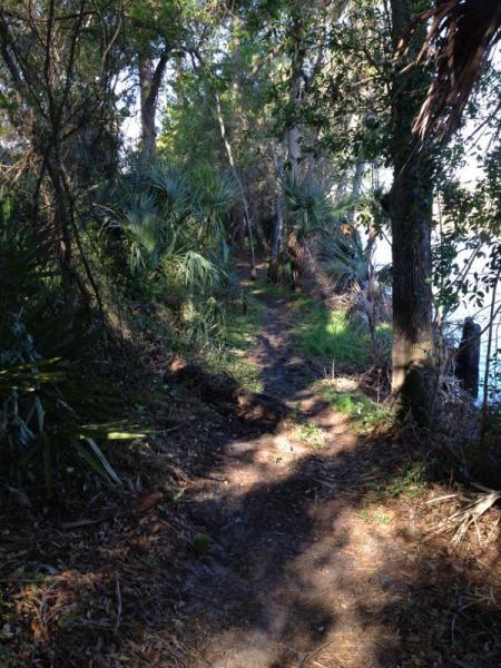 A narrow dirt path winding through a lush, green forest, bordered by tall trees and dense foliage, leading towards a body of water visible in the distance. Sunlight filters through the leaves, casting dappled shadows on the ground. Grapefruit Trail mountain bike trail.
