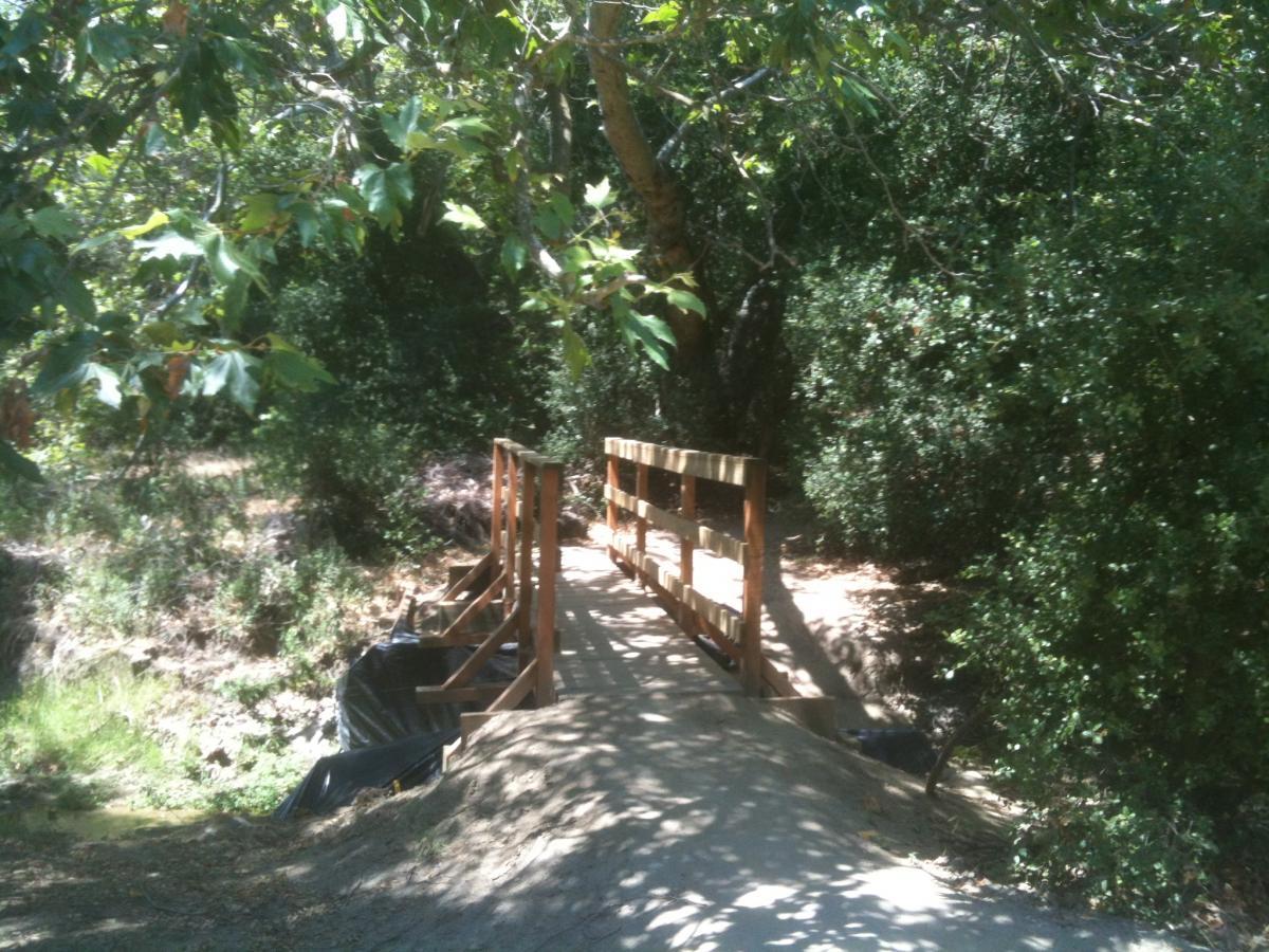 A wooden footbridge crosses over a small creek, surrounded by lush green foliage and trees. Sunlight filters through the leaves, casting dappled shadows on the ground. The scene conveys a tranquil and natural setting ideal for a peaceful walk in a forested area. Coyote Run Trail mountain bike trail.