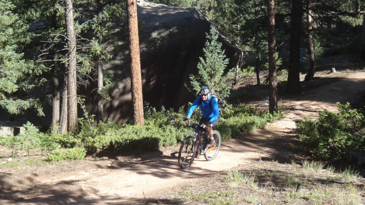 A mountain biker rides along a dirt trail surrounded by tall trees and large boulders in a forested area. The cyclist is wearing a blue long-sleeve shirt and a helmet, with sunlight filtering through the trees.