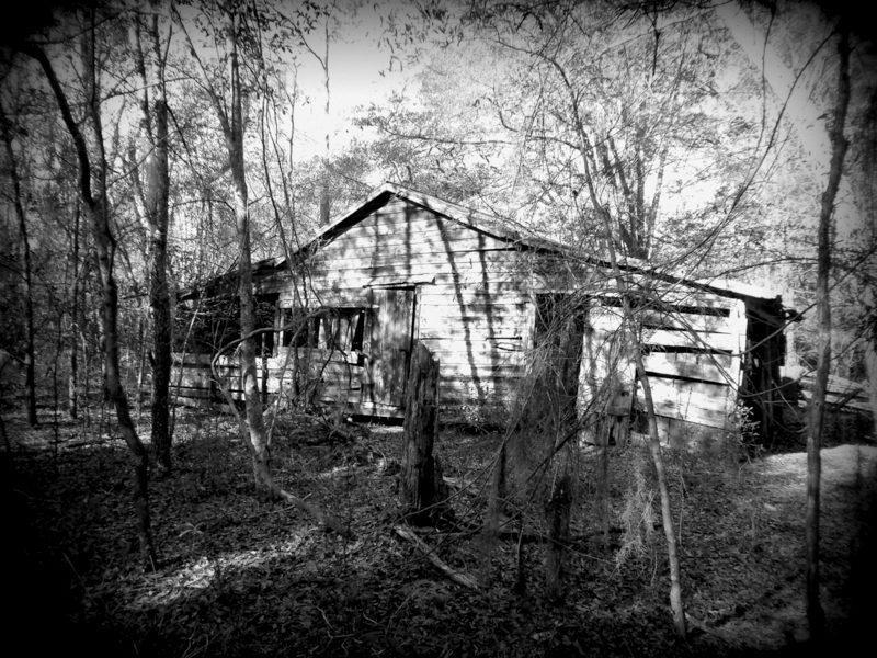 A weathered, abandoned house nestled among dense trees and overgrown vegetation, depicted in black and white. The structure shows signs of decay, with peeling wood and broken windows, creating an eerie, forgotten atmosphere. The Knot mountain bike trail.
