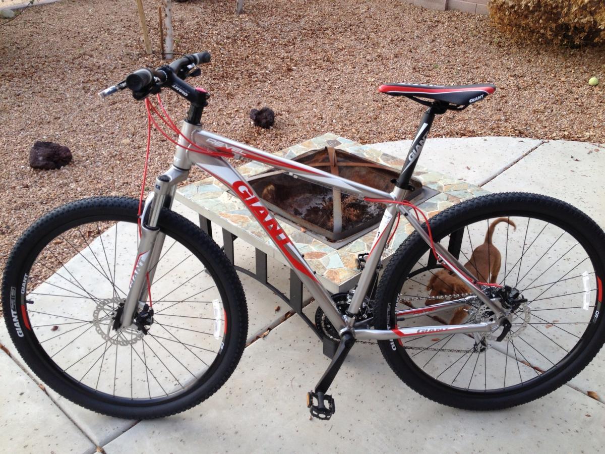 A silver and red mountain bike parked next to a stone fire pit, with a pebbled surface in the background. A small brown dog can be seen near the bike, exploring the area.