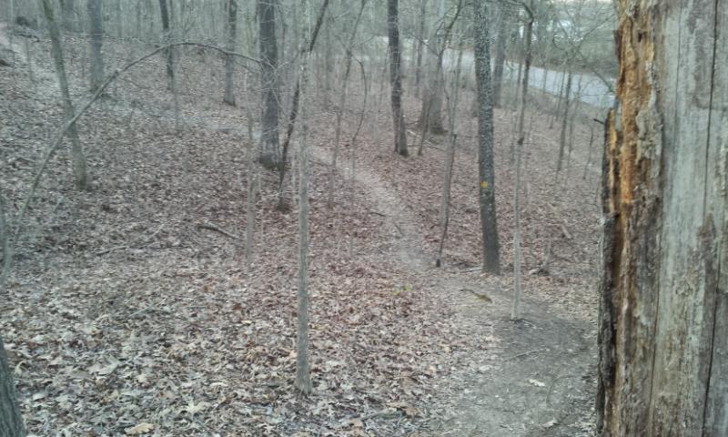 A wooded area with a winding dirt path visible through the trees, surrounded by fallen leaves. In the foreground, part of a tree trunk is visible, while a road can be seen in the background, partially obscured by the trees. The scene has a muted, natural color palette typical of a forest in early spring or late fall. Lakeland Trails at I.H. Managerial Park mountain bike trail.