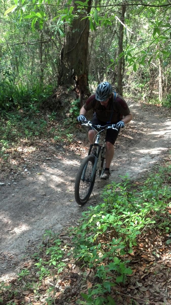 A person riding a mountain bike on a dirt trail surrounded by greenery in a forested area. The cyclist is leaning forward, focused on navigating the path, wearing a helmet and gloves. The ground is a mix of dirt and small stones, with foliage and trees visible in the background. Balm Boyette Scrub Preserve mountain bike trail.