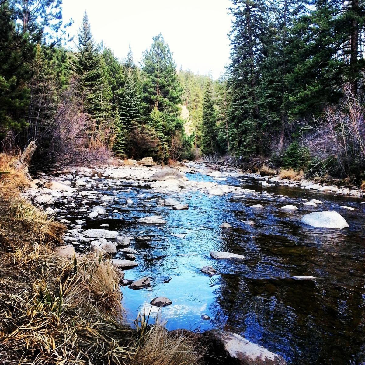 A tranquil river flowing through a forested area, flanked by lush green trees and rocky banks. Sunlight dapples the water, creating a serene atmosphere. Walker Ranch mountain bike trail.