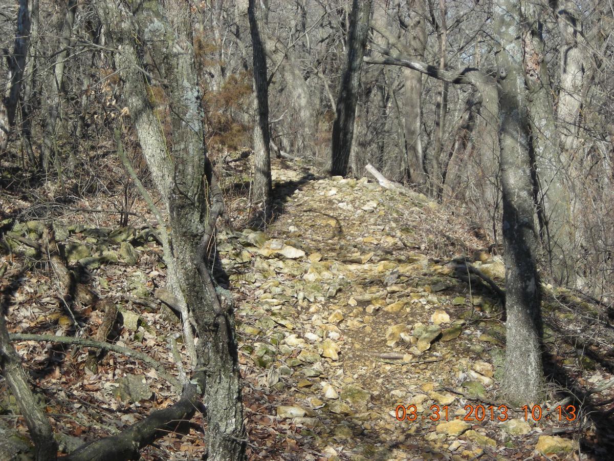 A rocky pathway winding through a wooded area, surrounded by bare trees and scattered leaves. The scene captures the natural landscape in early spring, with sunlight filtering through the branches onto the trail. Melvern Riverfront Trails mountain bike trail.