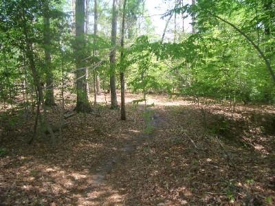 A wooded area featuring a narrow path surrounded by trees, with sunlight filtering through the leaves and a carpet of fallen leaves on the ground. York River State Park mountain bike trail.