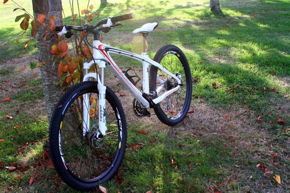 Rocky Mountain Vertex 50: A white mountain bike leaning against a tree in a grassy area, surrounded by scattered autumn leaves. The sun casts a soft light, highlighting the bike's design and the natural setting.