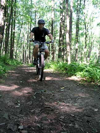 A person riding a mountain bike on a dirt trail through a lush green forest, surrounded by tall trees and ferns. The cyclist is wearing a helmet and athletic clothing. Coopers Rock mountain bike trail.
